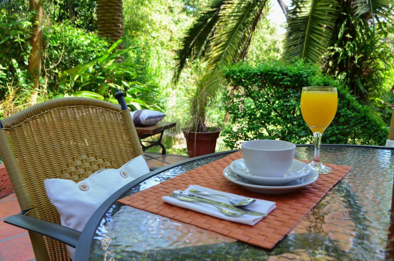 Posada Del Bosque Κολονία ντε Σακραμεντο Εξωτερικό φωτογραφία